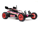 Losi 1/16 Mini JRX2 Black Brushed 2WD Buggy C-LOS01020T3-1