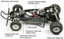 Tamiya Hornet Kit Inc ESC 58336-3