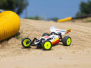 Losi 1/16 Mini-B 2WD Brushless Buggy RTR Red C-LOS01024T1-15