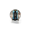LRP V10 Spec6 - 19 x 2 Brushed Motor LRP57196-2